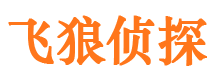 左贡寻人公司